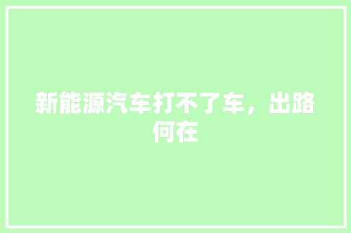 新能源汽车打不了车，出路何在