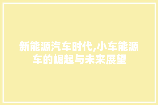 新能源汽车时代,小车能源车的崛起与未来展望
