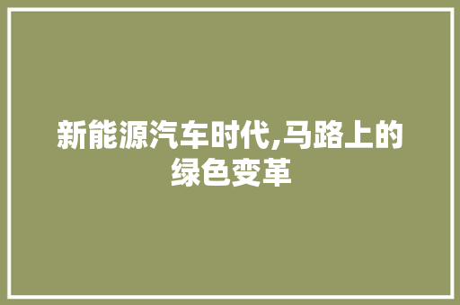 新能源汽车时代,马路上的绿色变革