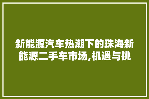 新能源汽车热潮下的珠海新能源二手车市场,机遇与挑战并存