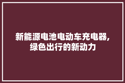 新能源电池电动车充电器,绿色出行的新动力