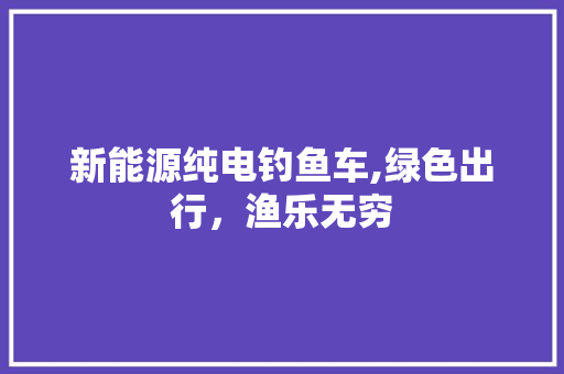 新能源纯电钓鱼车,绿色出行，渔乐无穷