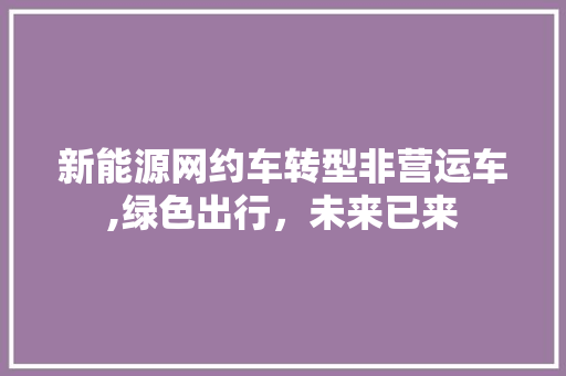 新能源网约车转型非营运车,绿色出行，未来已来