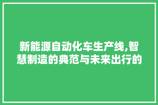 新能源自动化车生产线,智慧制造的典范与未来出行的新篇章