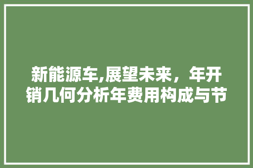 新能源车,展望未来，年开销几何分析年费用构成与节省之路