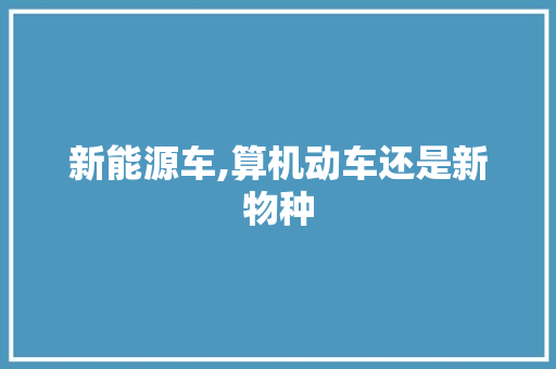 新能源车,算机动车还是新物种
