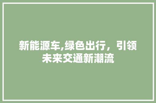 新能源车,绿色出行，引领未来交通新潮流