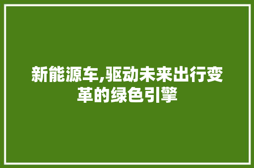 新能源车,驱动未来出行变革的绿色引擎