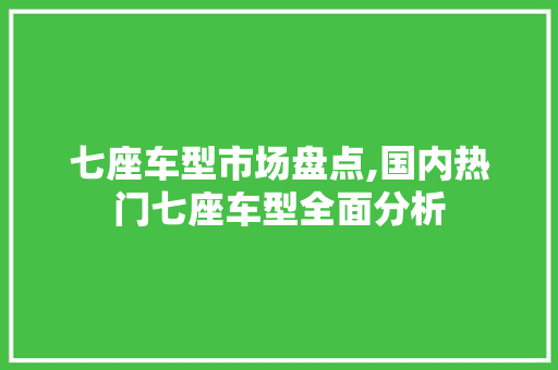 七座车型市场盘点,国内热门七座车型全面分析