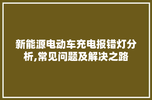 新能源电动车充电报错灯分析,常见问题及解决之路