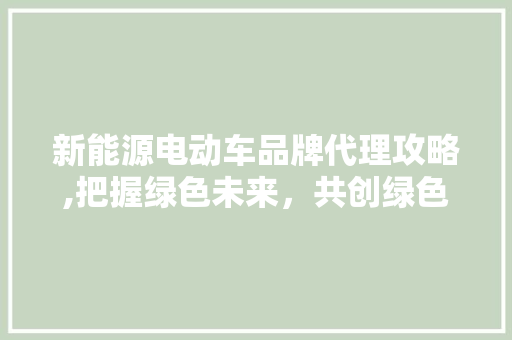 新能源电动车品牌代理攻略,把握绿色未来，共创绿色生活