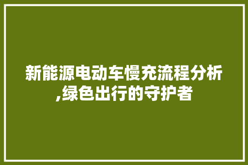 新能源电动车慢充流程分析,绿色出行的守护者