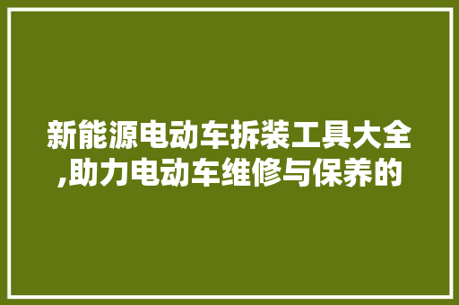 新能源电动车拆装工具大全,助力电动车维修与保养的得力助手