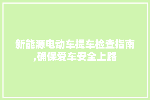 新能源电动车提车检查指南,确保爱车安全上路