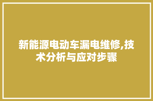 新能源电动车漏电维修,技术分析与应对步骤