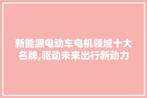 新能源电动车电机领域十大名牌,驱动未来出行新动力 自动驾驶