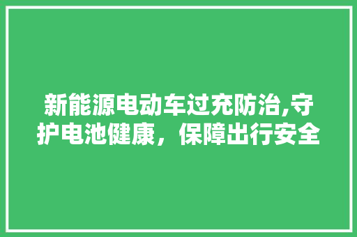 新能源电动车过充防治,守护电池健康，保障出行安全 汽车展览