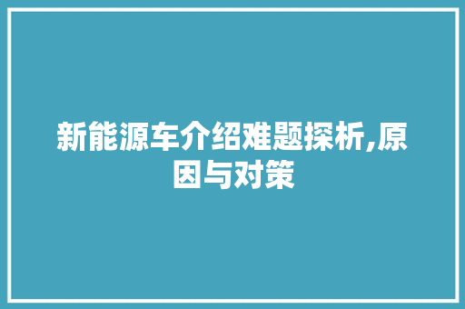 新能源车介绍难题探析,原因与对策