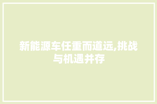 新能源车任重而道远,挑战与机遇并存