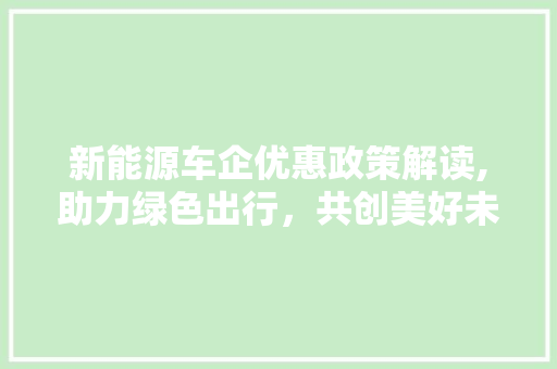 新能源车企优惠政策解读,助力绿色出行，共创美好未来 智能驾驶