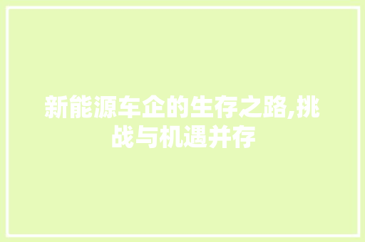新能源车企的生存之路,挑战与机遇并存