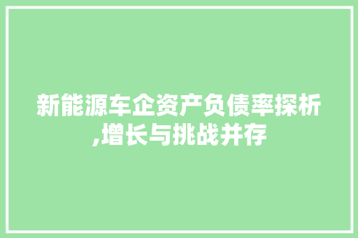 新能源车企资产负债率探析,增长与挑战并存