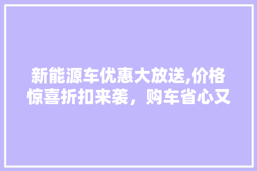 新能源车优惠大放送,价格惊喜折扣来袭，购车省心又省力