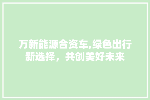 万新能源合资车,绿色出行新选择，共创美好未来