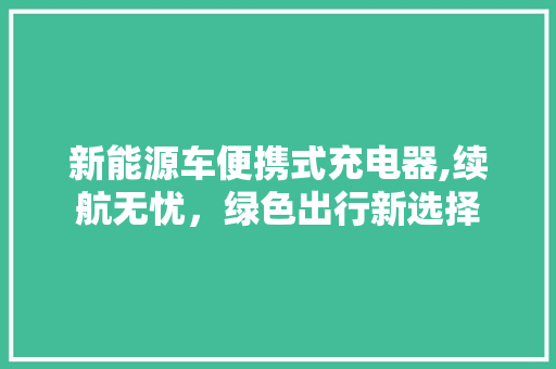新能源车便携式充电器,续航无忧，绿色出行新选择