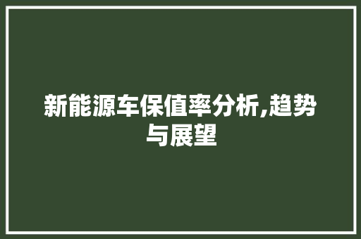 新能源车保值率分析,趋势与展望