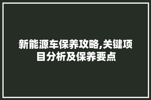 新能源车保养攻略,关键项目分析及保养要点