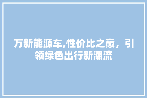 万新能源车,性价比之巅，引领绿色出行新潮流