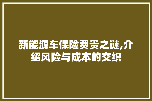 新能源车保险费贵之谜,介绍风险与成本的交织