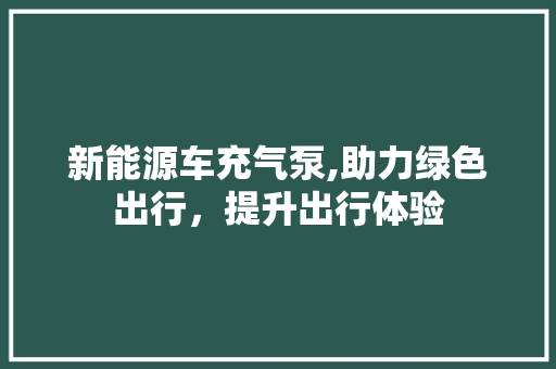 新能源车充气泵,助力绿色出行，提升出行体验