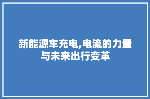新能源车充电,电流的力量与未来出行变革