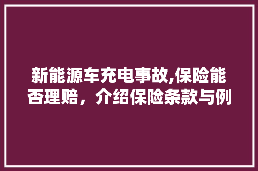 新能源车充电事故,保险能否理赔，介绍保险条款与例子分析