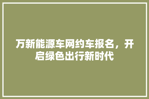 万新能源车网约车报名，开启绿色出行新时代