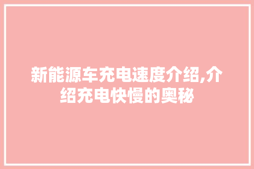 新能源车充电速度介绍,介绍充电快慢的奥秘