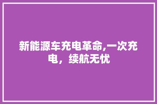 新能源车充电革命,一次充电，续航无忧