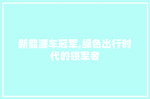 新能源车冠军,绿色出行时代的领军者