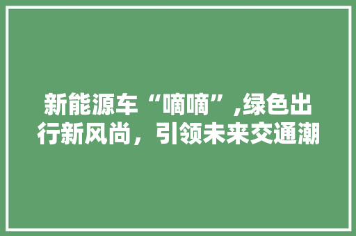 新能源车“嘀嘀”,绿色出行新风尚，引领未来交通潮流 车载导航