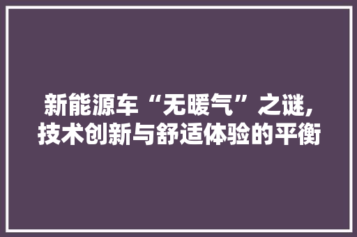 新能源车“无暖气”之谜,技术创新与舒适体验的平衡之路