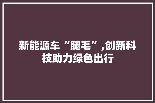 新能源车“腿毛”,创新科技助力绿色出行