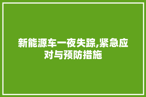 新能源车一夜失踪,紧急应对与预防措施