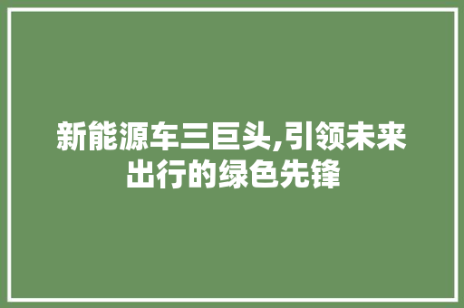 新能源车三巨头,引领未来出行的绿色先锋
