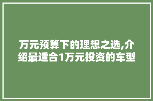 万元预算下的理想之选,介绍最适合1万元投资的车型 汽车保养
