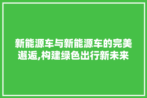 新能源车与新能源车的完美邂逅,构建绿色出行新未来