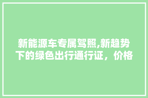 新能源车专属驾照,新趋势下的绿色出行通行证，价格几何