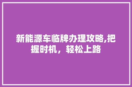 新能源车临牌办理攻略,把握时机，轻松上路