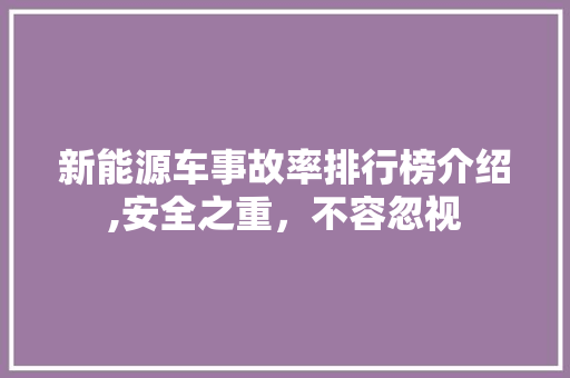 新能源车事故率排行榜介绍,安全之重，不容忽视